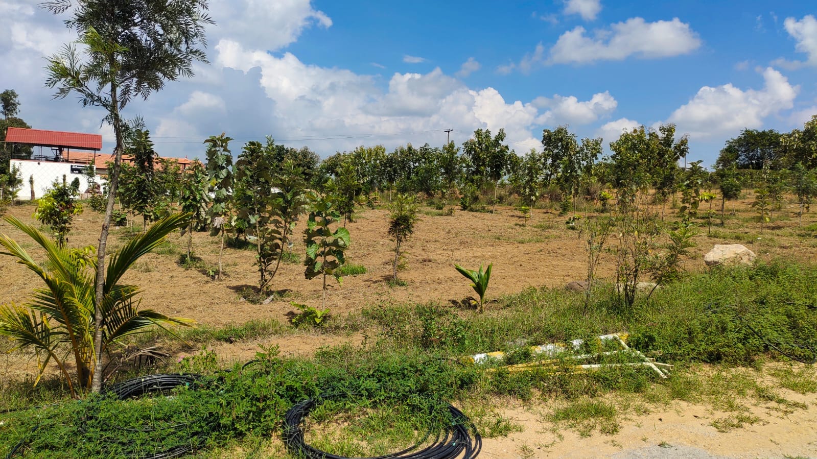 Suprabhat Farms